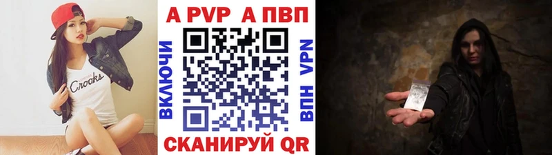 OMG tor  Ногинск  Alfa_PVP СК КРИС  магазин   