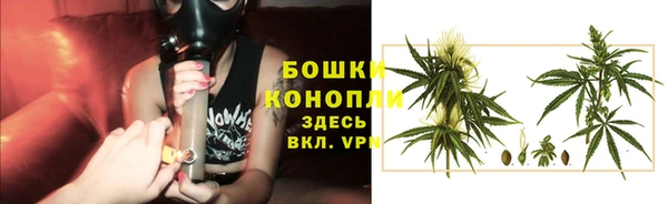 марки lsd Белокуриха