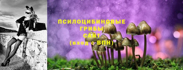 марки lsd Белокуриха